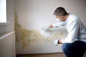 Best Comprehensive Air Testing for Mold Contaminants  in Dillonvale, OH